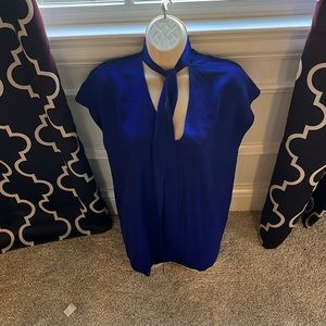 Eileen fisher blue blouse, size large